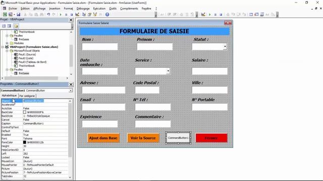 Excel VBA - Comment créer un Formulaire de Saisie (Module n° 2) смотреть онлайн