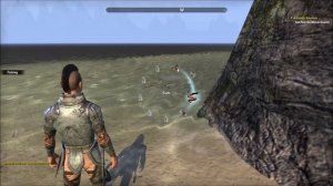 TES Online: Рыбалка в TESO/ Fishing in The Elder Scrolls Online