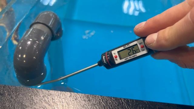 Аквариум для краба передержка узв для морепродуктов смотреть онлайн