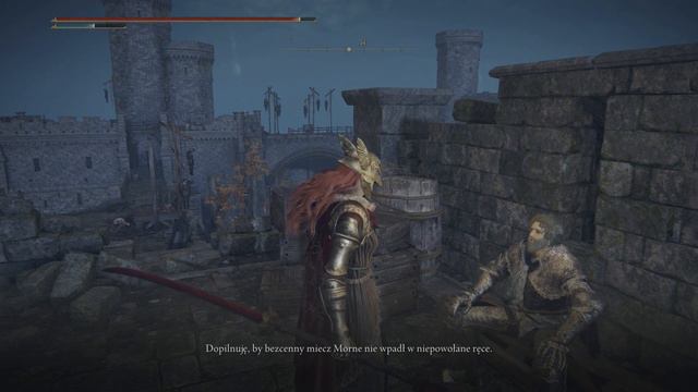 Elden Ring Questline: Irina & Edgar смотреть онлайн