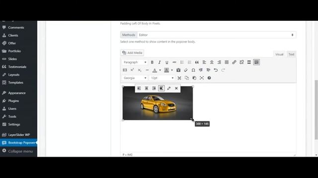 Bootstrap Popover - Responsive WordPress Plugin смотреть онлайн