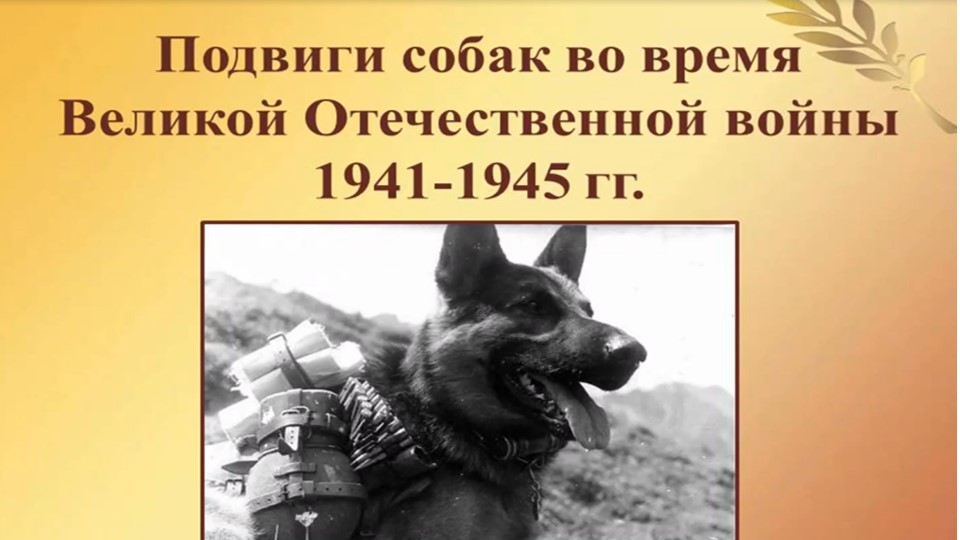 Подвиги собак во время Великой Отечественной войны 1941-1945 гг. смотреть онлайн
