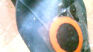 Велосипед как заклеить камеру.Прокол на камере велосипеда как клеить.Как заклеить камеру велосипеда