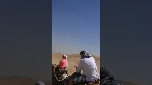 Египет - Каир 2015 г. Сергей и Женя смотреть онлайн