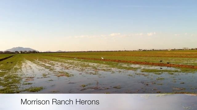 Morrison Ranch смотреть онлайн