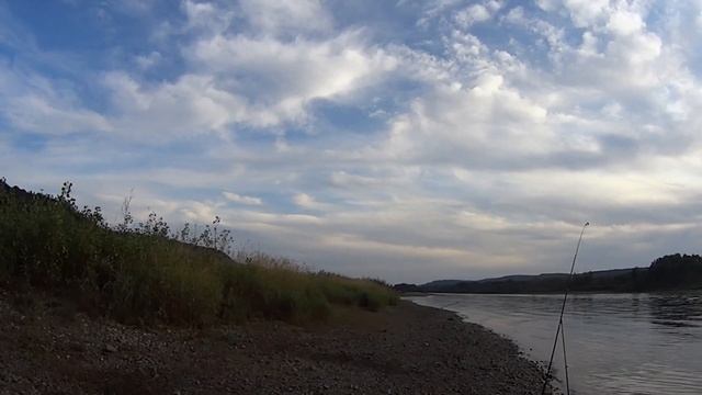 Удачная рыбалка на хариуса. На реке Томь. смотреть онлайн