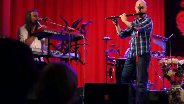 Аквариум - Фикус религиозный смотреть онлайн