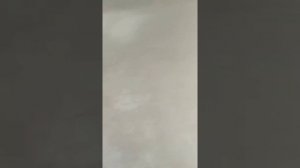 Волма Старт