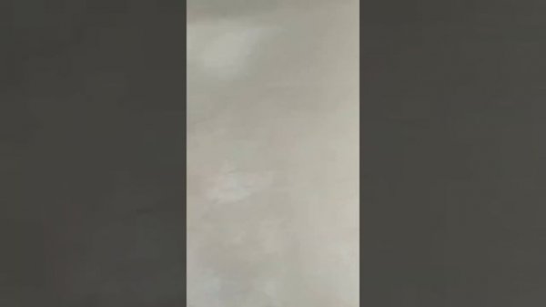 Волма Старт