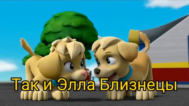 Кто ты по Зз из щп и гав гав стаи?