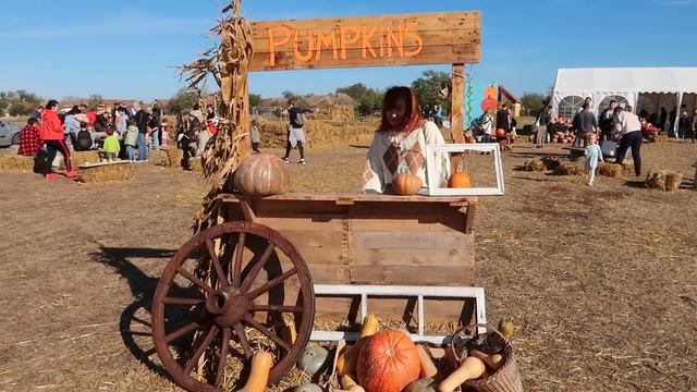 Vlog: ce am facut peste weekend | "hol de la mol" si o iesire din oras смотреть онлайн