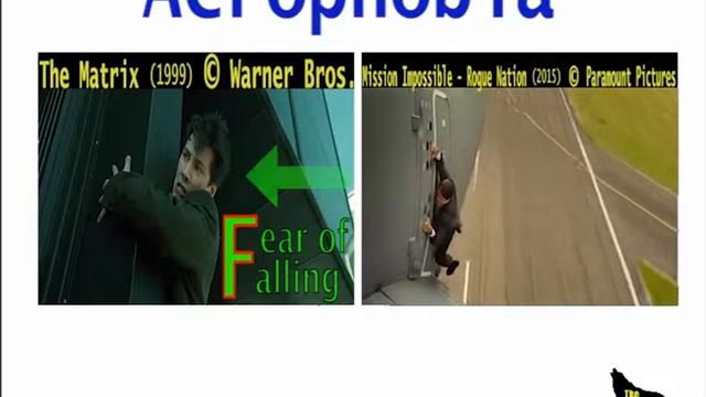 Phobias Explained: Acrophobia смотреть онлайн