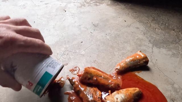 LION REUNION - Kevin Richardson's Unique Bond | The Lion Whisperer смотреть онлайн