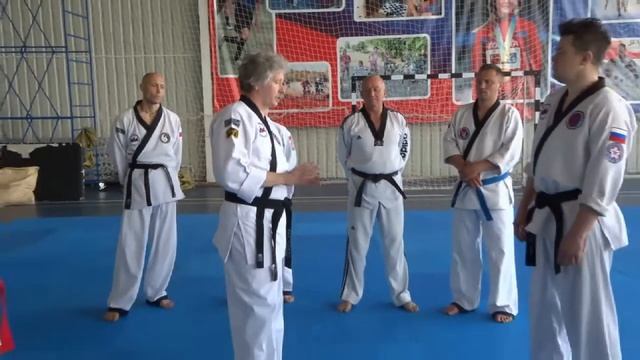 Кёнгму Хапкидо. Методология, методы, методика, техника, принципы, философия. #1 смотреть онлайн