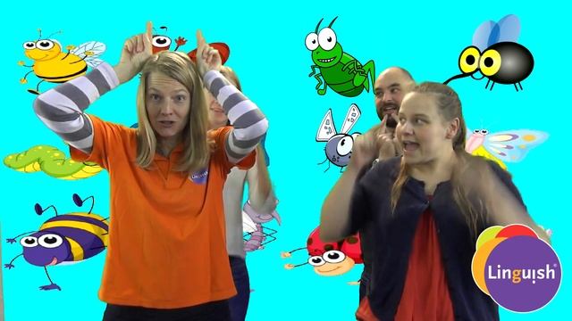 Linguish ESL Games // Insect song, head, thorax, abdomen // LT377 смотреть онлайн