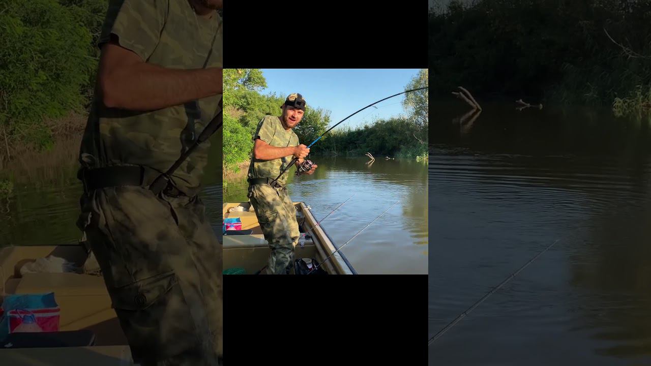 СОМЯРА НЕ УМЕСТИЛСЯ В ПОДСАК! смотреть онлайн