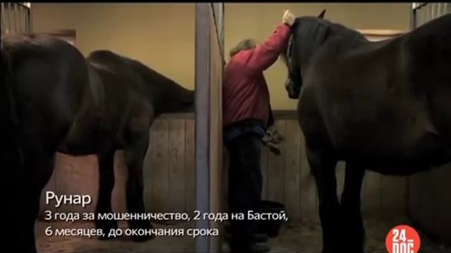 24_DOC: ТЮРЬМА - ОСТРОВ СВОБОДЫ смотреть онлайн