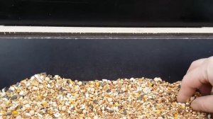 Обзор бункерных кормушек для голубей.