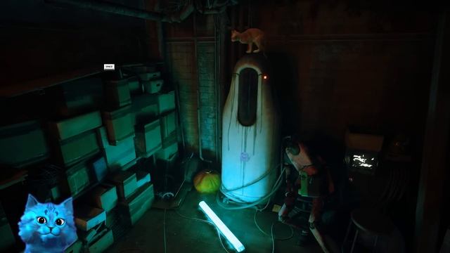 ? СУМАСШЕДШИЙ КОТИК STRAY Спасает Мир Симулятор Кота КОТЁНОК ЛАЙК смотреть онлайн