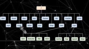 Структура файловой системы Linux за 5 минут