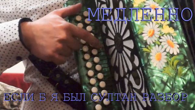 Если б я был султан / разбор на гармони #кавказкаяпленница#юрийникулин#гармонь#народныйшансон смотреть онлайн