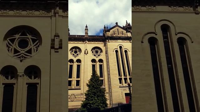 Basilica of St. Terese, the little flower of Jesus 🌺 #basilique #france #sttherese смотреть онлайн