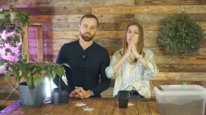 Перец от рассады до урожая! Анна Акинина и Василий Блокин-Мечталин