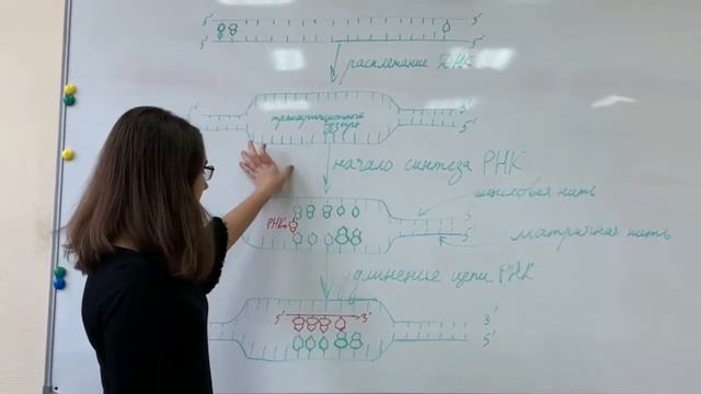 Транскрипция / 9 Ф 13 смотреть онлайн