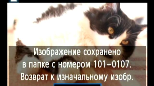 Canon EOS 60D, внутрикамерная постобработка снимков смотреть онлайн