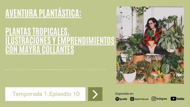 T1.E10 Plantas tropicales ilustración y emprendimiento Mayra Collantes |Aventura Plantástica Podcas смотреть онлайн
