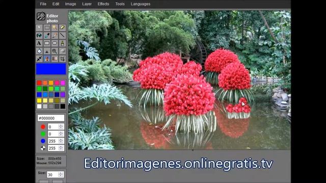Editor de imagenes Png Jpg Json Gif WEBP BMP en linea gratis смотреть онлайн