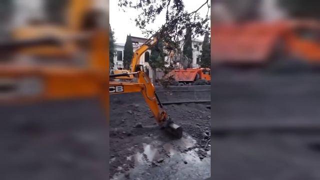 Жена родила от другого смотреть онлайн