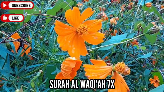 SURAH AL WAQI'AH 7X | SURAH KEKAYAAN | AKAN BERLIMPAH HARTA | PART 52 смотреть онлайн