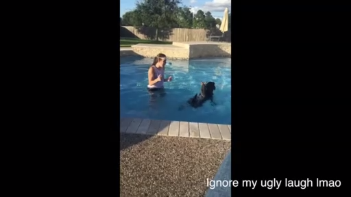 Покатай меня, большая собака! ) смотреть онлайн