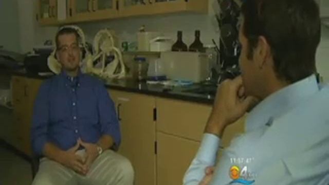 Тысячи акул у берегов Флориды смотреть онлайн