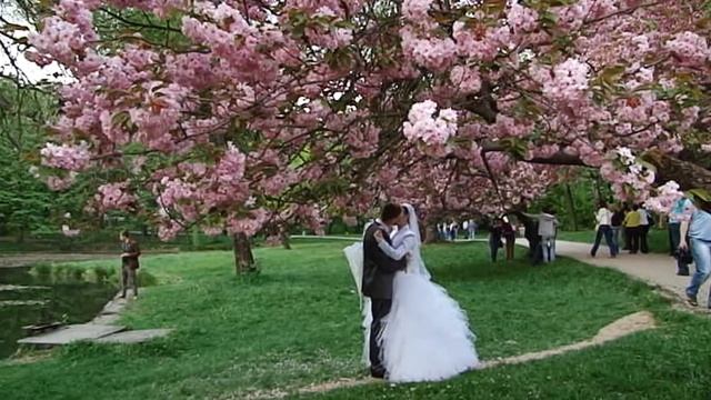 Прогулка в Карпатах смотреть онлайн