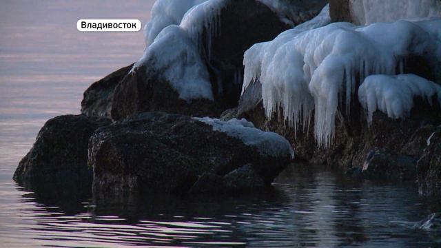 Владивосток назвали новым туристическим центром России смотреть онлайн