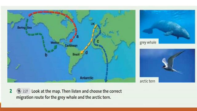 Grade 7. Unit 5.CLIL.Natural science:Adapting to the environment. English plus 7.p.74-75 смотреть онлайн