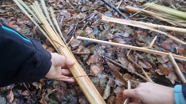 Срочно на речку! Ноябрь - самое время для заготовки правильного рогоза для прочного плетения! смотреть онлайн