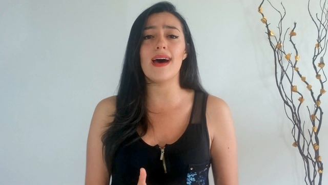 Zamba para olvidar - Mercedes Sosa (Heidhy Pereira) смотреть онлайн