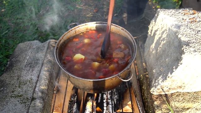 Цирковые Представления и Шоу