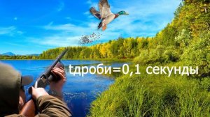 Как БЕЗ ПРОМАХА стрелять на охоте? Секреты точной стрельбы на охоте