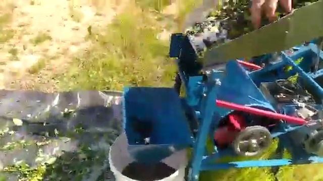 Ягода от мусора смотреть онлайн