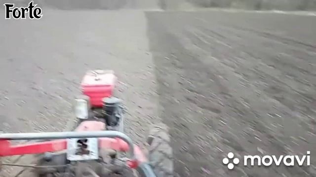мотоблок форте посів 2021 смотреть онлайн
