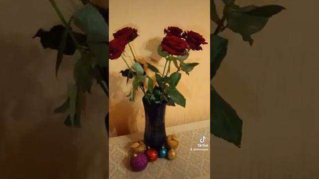 розы#дача #дом #цветы#город #дача смотреть онлайн
