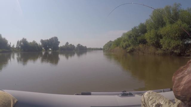 Ловля судака на джиг из под коряг. Трофейные судаки и щуки ."Старые коряжки" Zetrix Ambition-X 802M смотреть онлайн