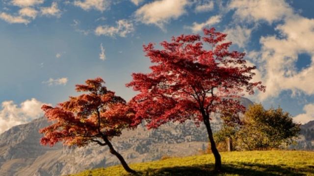 ВСТРЕЧИ И РАССТАВАНИЯ. MUSICA MUY LINDA, ОЧЕНЬ КРАСИВАЯ МУЗЫКА. VERY BEAUTIFUL MUSIC. смотреть онлайн