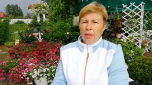 Петуния. 4 проблемы: липкие листья. отставание в росте, вялые побеги, мучнистая роса. Методы решени