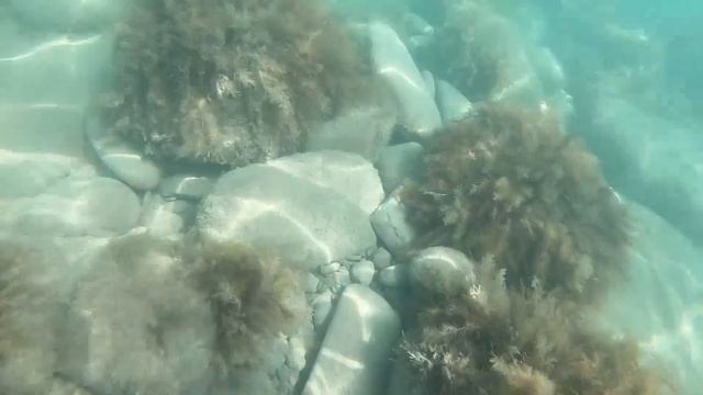 Anapa The Russian Black Sea Beach You Didn't Know About. Must Visit. ??