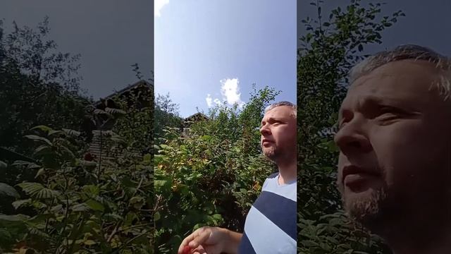 Как, когда и почему мы начали устанавливать уплотнитель Шлегель Schlegel? #секретыоконщика смотреть онлайн